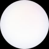bubble